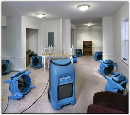 Odor Removal & Deodorization in Arcadia, CA